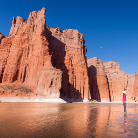 LANDSCAPES and WINES