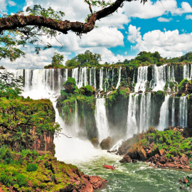 CALAFATE + IGUAZU FALLS